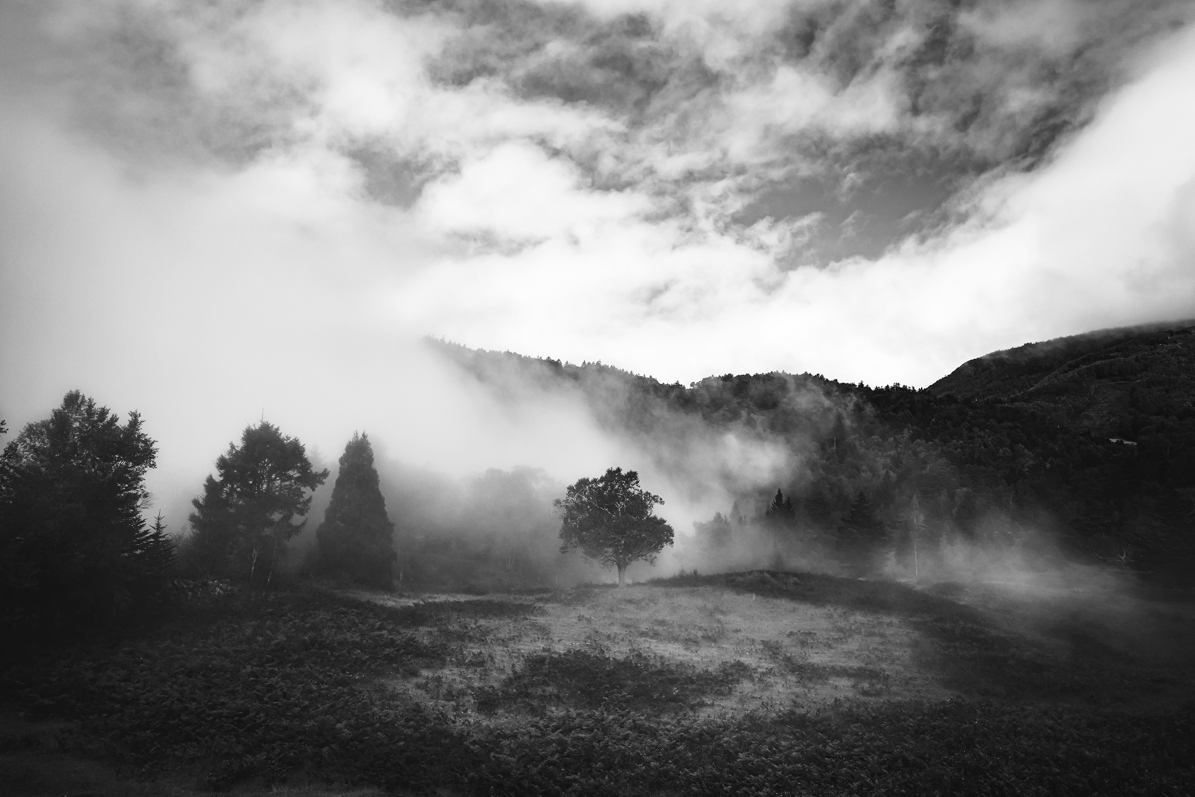 Hiroshi Hara - Portfolio